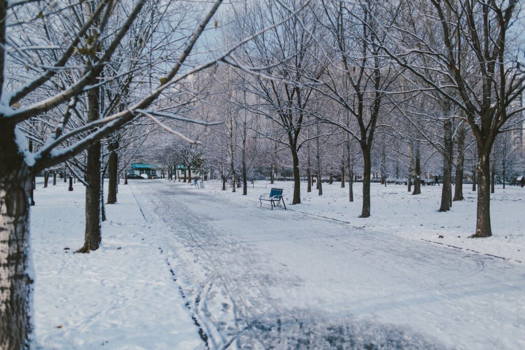 A park covered in snow. There is a walking path that has been mostly plowed with a bench. There are trees along the walking path. 